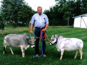 1469937_10152103599297533_730403753_n