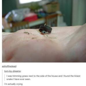 1496668_10152221231857533_943392990_n