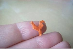 1557632_10152324479072533_1305816439_n