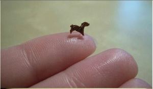 1794624_10152324478967533_1905569160_n