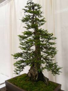 1798702_10152508397667533_1392483569021302103_n