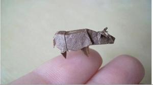 1959850_10152324479137533_449678513_n