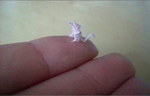 1972277_10152324479042533_662677137_n