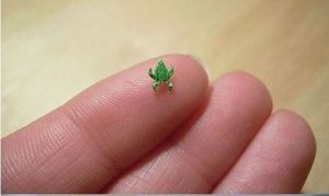 1979604_10152324479027533_1428947895_n