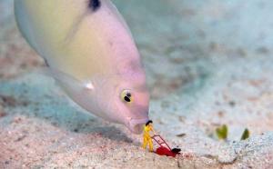 215860_10151344486742533_1955302413_n