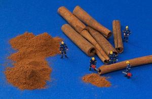 222512_10151319057147533_430743756_n