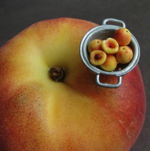 486203_10151319054122533_1007383589_n