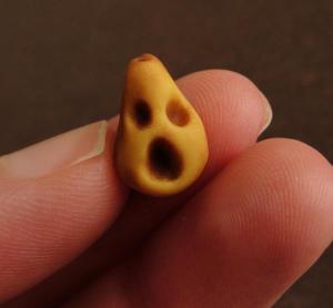 530569_10151319059617533_1202830573_n