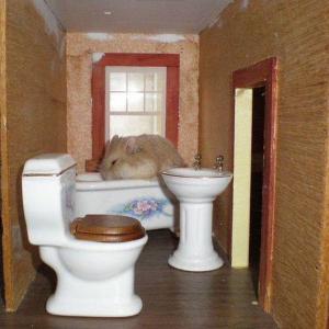 549071_10151319055377533_1709008768_n