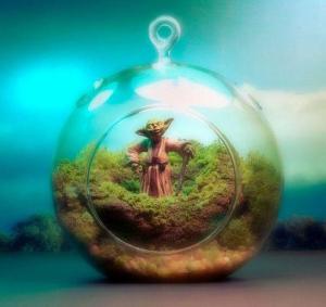 557739_10151319054882533_1411149633_n