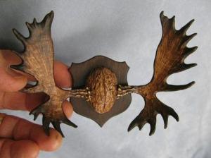 559435_10151319056797533_726296417_n