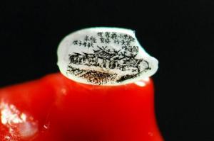 598786_10151565856247533_1639227833_n