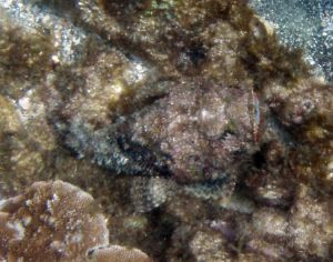 6a0105371bb32c970b01b8d0ac679f970c-750wi