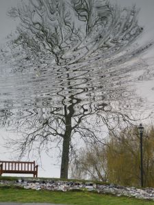 6a0105371bb32c970b01b8d0bf3b2c970c-750wi