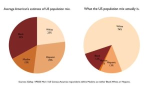 AMERICANS_VIEW_OF_AMERICANS