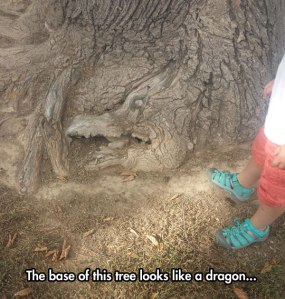 cool-tree-base-dragon-like