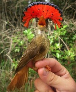 daily_picdump_1527_640_109