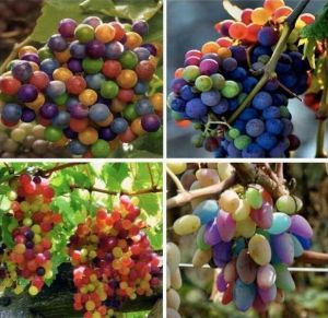 daily_picdump_1581_640_25