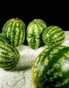 daily_picdump_1639_640_60