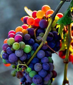 daily_picdump_1669_640_65