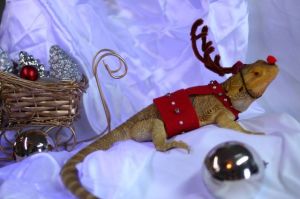 daily_picdump_1693_640_09