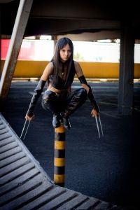 daily_picdump_1704_640_110