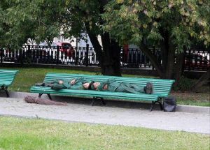 morning_picdump_641_640_12