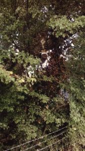 morning_picdump_648_640_30