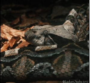 Screen Shot 2014-08-13 at 8.31.28 PM