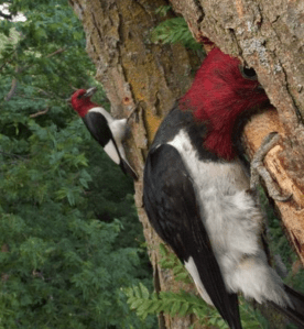 Screen Shot 2014-12-28 at 9.55.28 PM