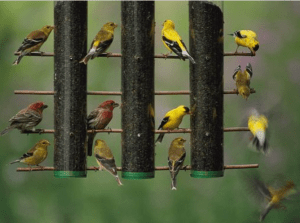 Screen Shot 2014-12-28 at 9.55.39 PM