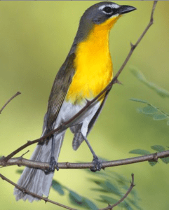 Screen Shot 2014-12-28 at 9.56.27 PM