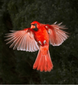 Screen Shot 2014-12-28 at 9.57.56 PM