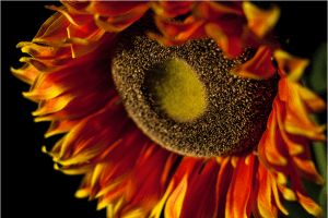 Screen Shot 2015-01-09 at 11.57.36 PM