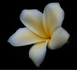 Screen Shot 2015-01-10 at 10.28.01 PM