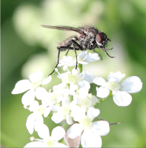 Screen Shot 2015-01-11 at 8.22.54 PM