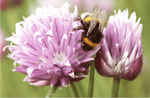 Screen Shot 2015-01-11 at 8.24.04 PM