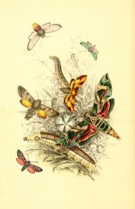 tumblr_ngq5pwo5UE1qb23uro1_500