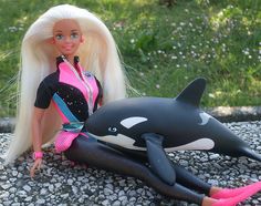 a43586e7d44a261b8d54cc0a76f1e4a1