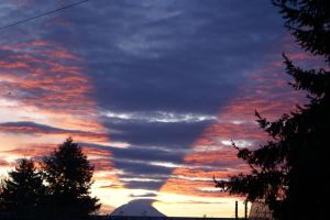 6a0105371bb32c970b01bb081f014f970d-750wi