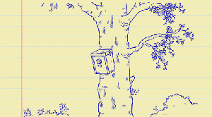 cute-gif-Simons-Cat-bird-house