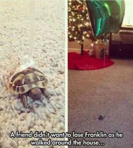 daily_picdump_1460_640_42