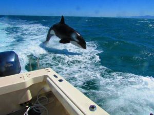 daily_picdump_1511_640_48