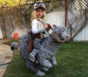 daily_picdump_1576_640_59