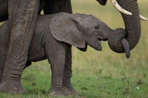 daily_picdump_1588_640_04