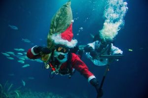 (L-R) Divers Henning May and Alexander Dressel dive dressed up as вЂњSanta ClausвЂќ and вЂњAngelвЂќ in the schooling fish basin at Ozeaneum in Stralsund, Germany, 24 November 2014. They clean the 30 centimeter thick panorama acrylic glass of the basin. The schooling fish basin is the biggest in the ocean museum Ozeaneum. (Photo by Stefan Sauer/EPA)