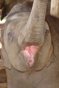 daily_picdump_1687_640_06 copy