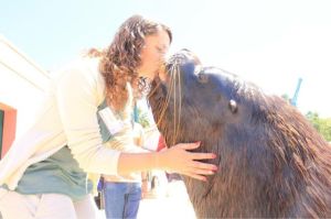 daily_picdump_1696_640_03