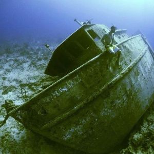 daily_picdump_1702_640_10