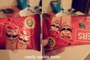 daily_picdump_1706_640_12